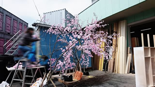 桜　造形美術：株式会社ゼファー